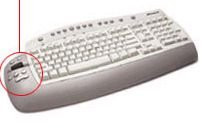 00CA000000049445-photo-microsoft-office-keyboard.jpg