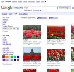 00F0000002334562-photo-search-options-dans-google-images.jpg