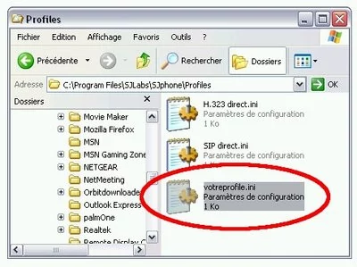 0190000000528863-photo-t-l-phonez-gratuitement-windows.jpg