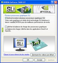 000000DC00293532-photo-pilote-nvidia-geforce-7600-gt-sli.jpg