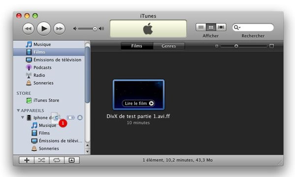 0258000001643694-photo-divx-iphone-sur-mac007.jpg