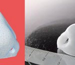 Impression 3D : des cartilages de nez imprimés en seulement 16 minutes