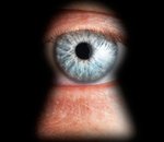Dropbox et Yahoo témoignent de leurs efforts contre la NSA