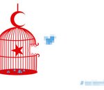 La Turquie vers une censure de Twitter ?