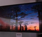 Sony arrêterait le développement de téléviseurs OLED pour se concentrer sur l'Ultra HD