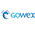 Le spécialiste du WiFi Gowex avoue avoir truqué ses comptes et se place en faillite