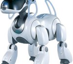 Malgré l’échec d’Aïbo, Sony se remet aux robots de compagnie
