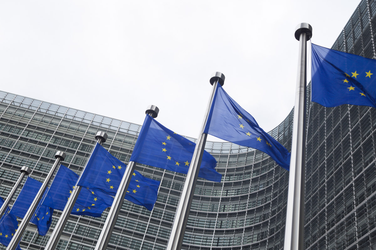 Les drapeaux de l'Union Européenne © 77studio/Getty Images