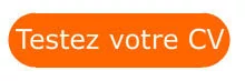 01294898-photo-recherche-emploi-test-cv.jpg