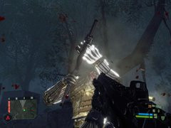 00F0000000668064-photo-crysis.jpg