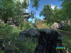 00F0000000668080-photo-crysis.jpg