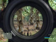 00F0000000668110-photo-crysis.jpg