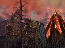 00D2000000306638-photo-warhammer-online-age-of-reckoning.jpg