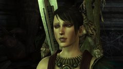 00F0000001913710-photo-dragon-age-origins.jpg