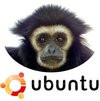 0064000000627412-photo-ubuntu-7-10-gutsy-gibbon.jpg