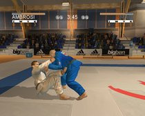 00D2000000217678-photo-david-douillet-judo.jpg
