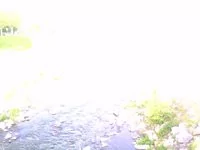 00C8000003152372-photo-cimg0010.jpg