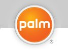 00FA000000136661-photo-nouveau-logo-palm.jpg