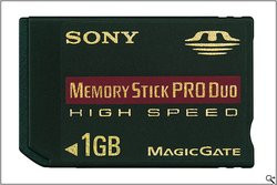 00FA000000119303-photo-sony-memory-stick-duo-pro-2-go.jpg