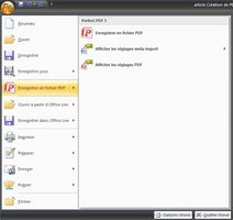 000000C802471414-photo-perfectpdf-int-gration-office.jpg