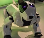 Innorobo Expo de Lyon : les robots dédiés au divertissement ou à l'éducation