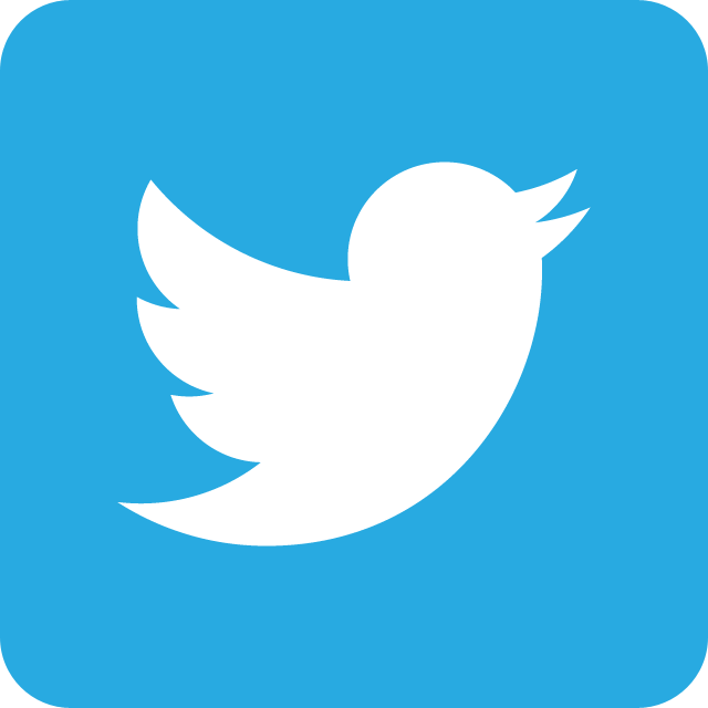Twitter met fin au règne des avatars animés