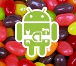 Google publie le SDK de Jelly Bean