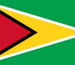 The Pirate Bay déménage en Guyana et prépare un hébergement distribué