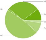 Fragmentation : Jelly Bean sur 10% des terminaux Android