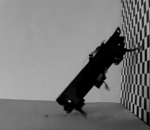 Des mini-robots inspirés des cafards capables de s'enfuir ultra-rapidement
