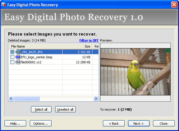digital image recovery clubic