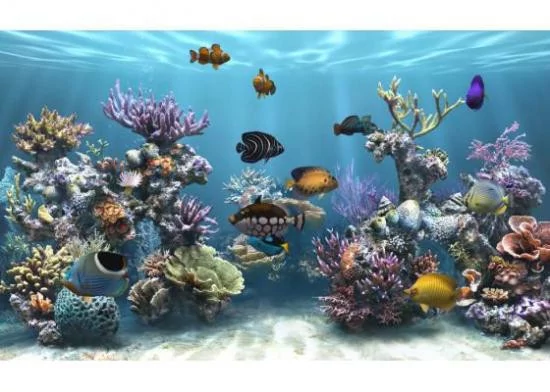Télécharger Sim Aquarium Pour Windows Téléchargement Gratuit