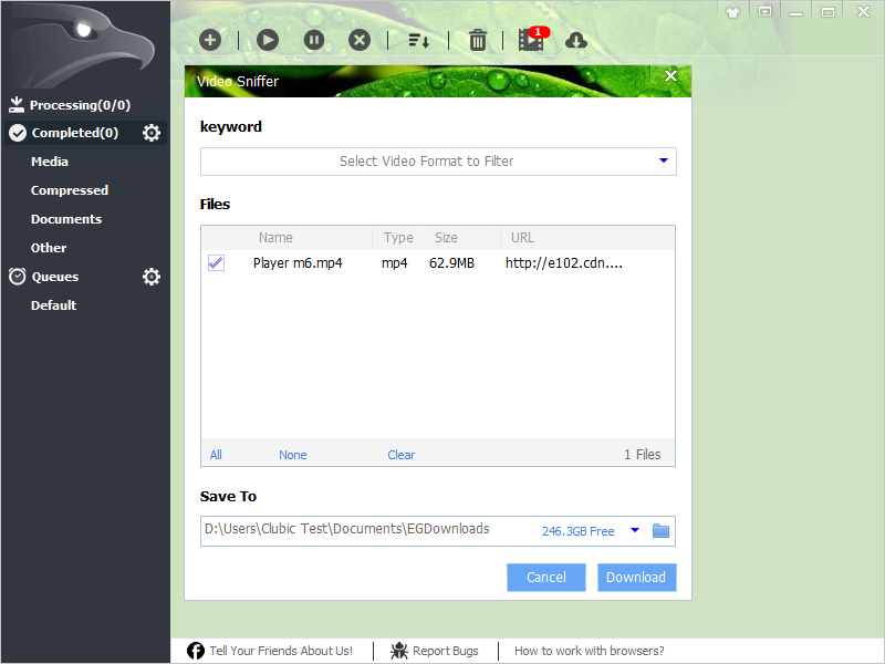 logiciel eagleget gratuit