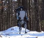 Musk : les robots seront trop rapides pour être vus