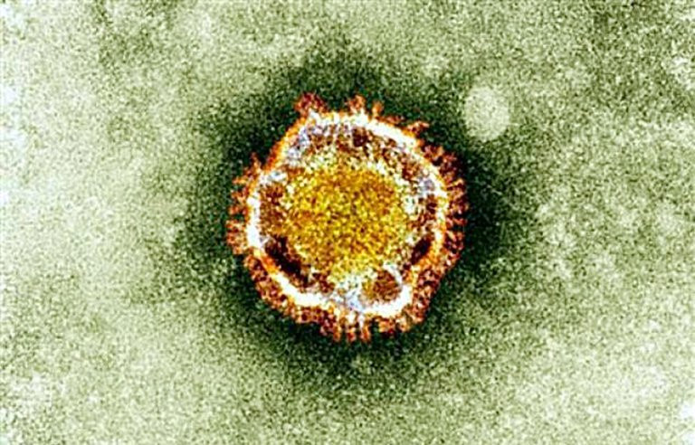 Photo fournie par l'Agence britannique de protection de la santé montrant le coronavirus à travers un microscope