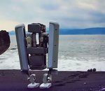 Google travaille sur un nouveau robot bipède