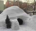 Quand un igloo né de Snowzilla s'invite sur Airbnb