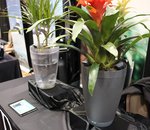 CES 2016 : Parrot Pot, et les plantes ne meurent plus de soif