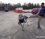 Spot, l'impressionnant robot quadrupède de Boston Dynamics