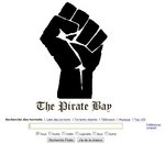The Pirate Bay : appel rejeté, nom de domaine transféré