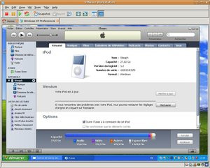 012C000000376324-photo-vmware-d-tection-d-un-ipod.jpg