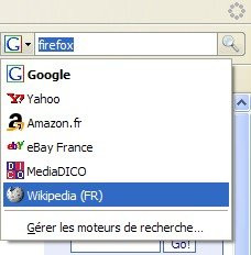 012C000000396941-photo-firefox-2-0-choix-du-moteur-de-recherche.jpg