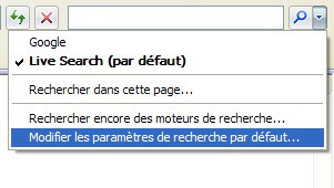 00396888-photo-internet-explorer-7-la-barre-de-recherche.jpg