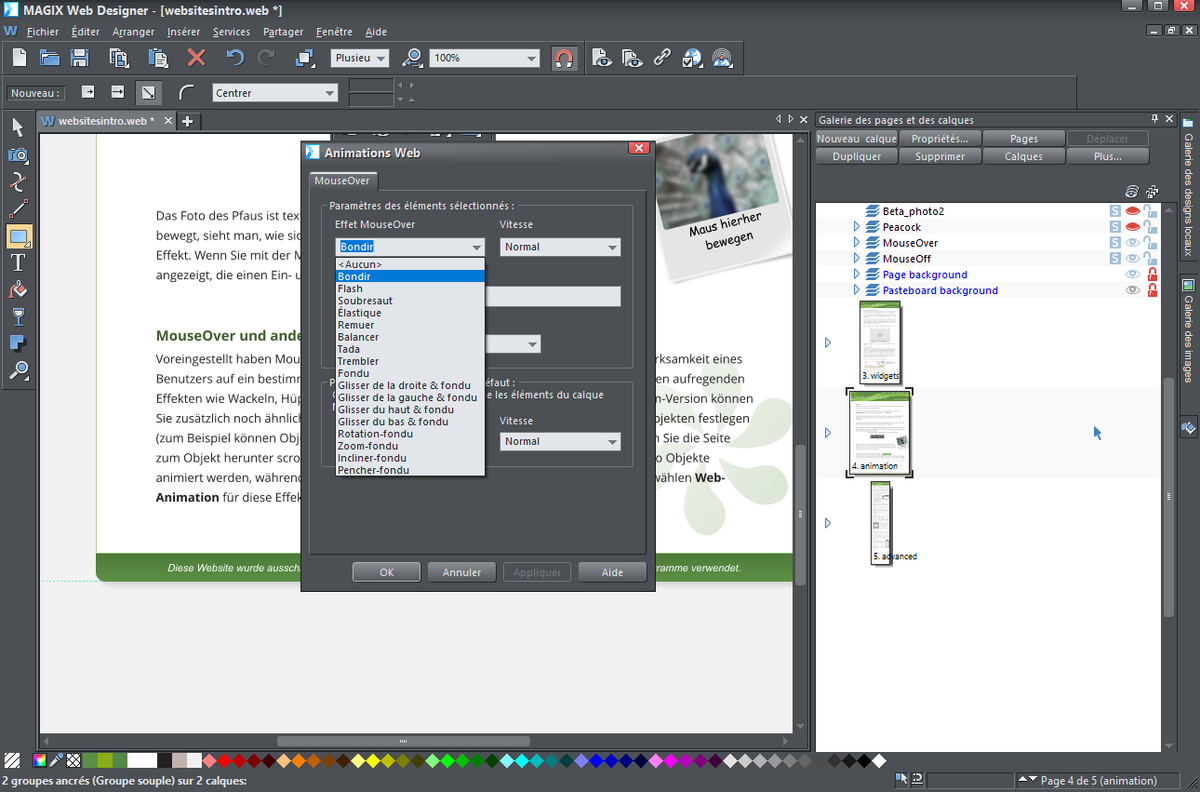 MAGIX Web Designer-F