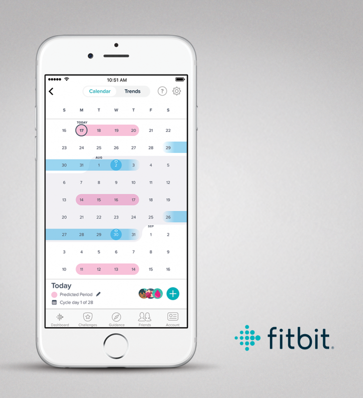 fitbit femtech