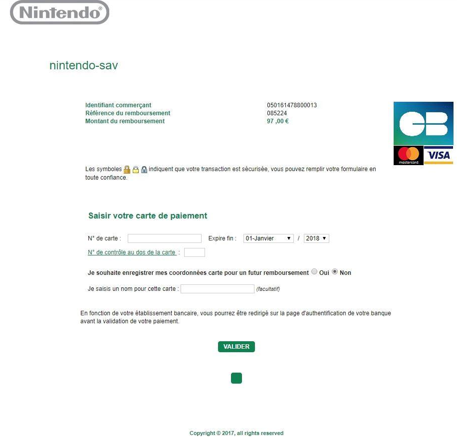 Fake Nintendo Payement