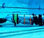 Elon Musk construit un mini sous-marin  pour sauver les enfants bloqués dans une grotte