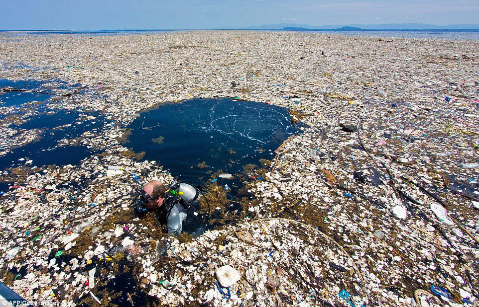 Le ''vortex de déchets du Pacifique nord'' ferait trois fois la