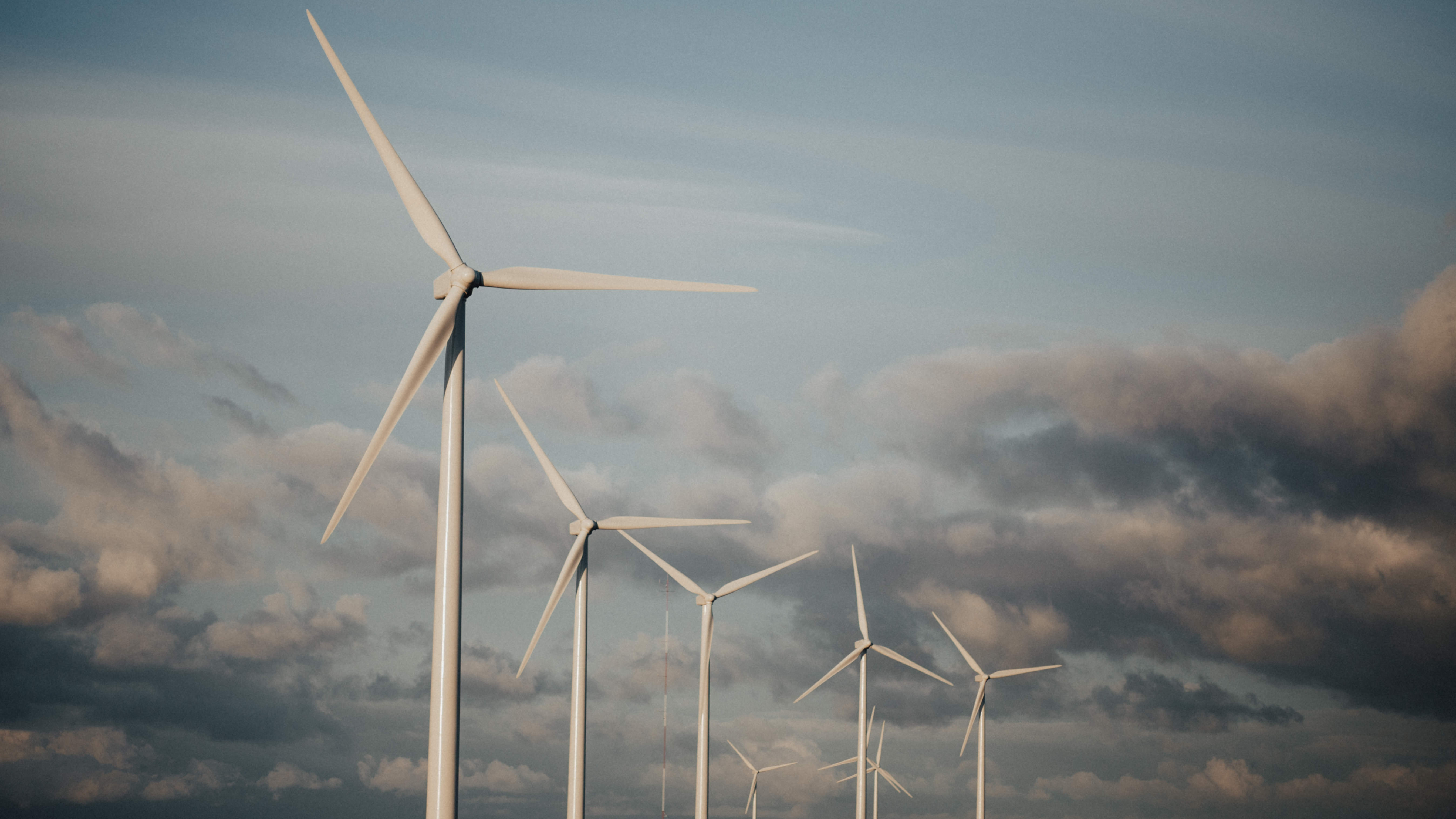 Encore un projet d'éoliennes mis sur pause en Basse-Meuse - La