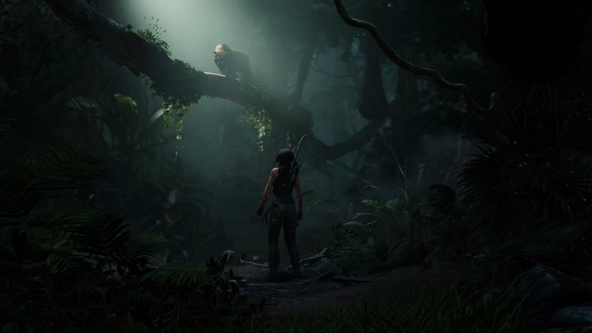 Shadow of the Tomb Raider test